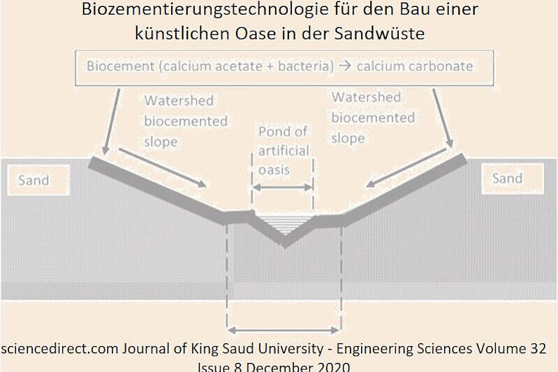 com Journal of King Saud University - sciencedirect.com 